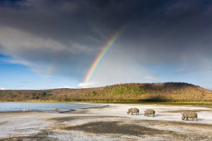 Michael Poliza's Kenya